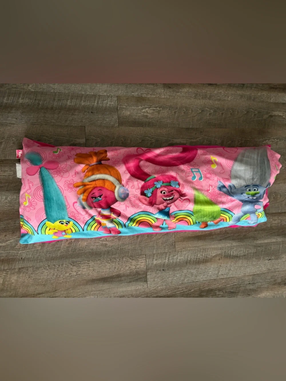 🌸 $10 SALE 🌸 Trolls Pillow